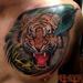 Tattoos - Tiger in the jungle - 84422
